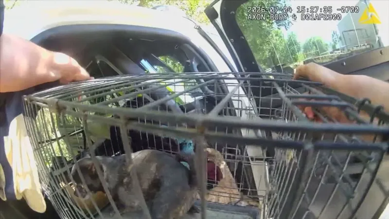 Video shows deputies' heroic efforts to evacuate people and pets during Chelan Hills Fire