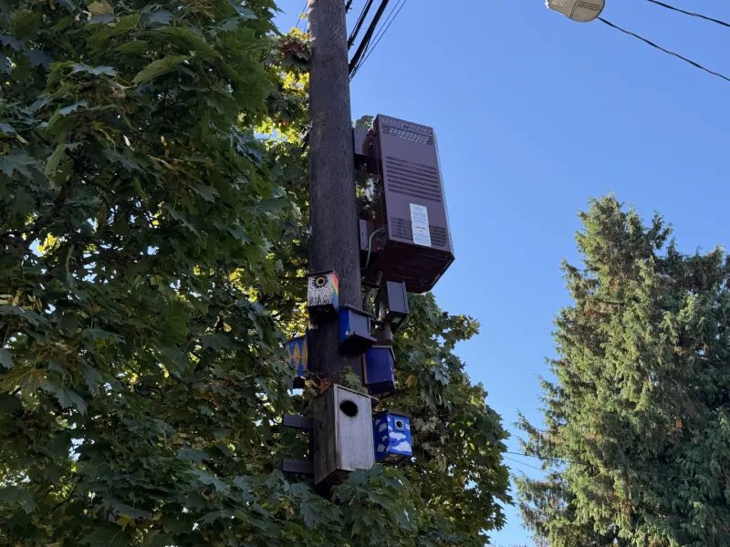 Slog AM: Shooter Kills Four in Bend, White Powder Mailed to Washington State Elections Office, a Stupid Flying Car