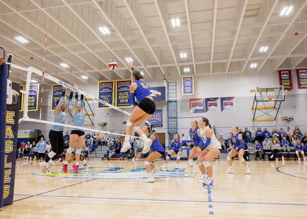 Eagles Fall to Lewis-Clark State at Home