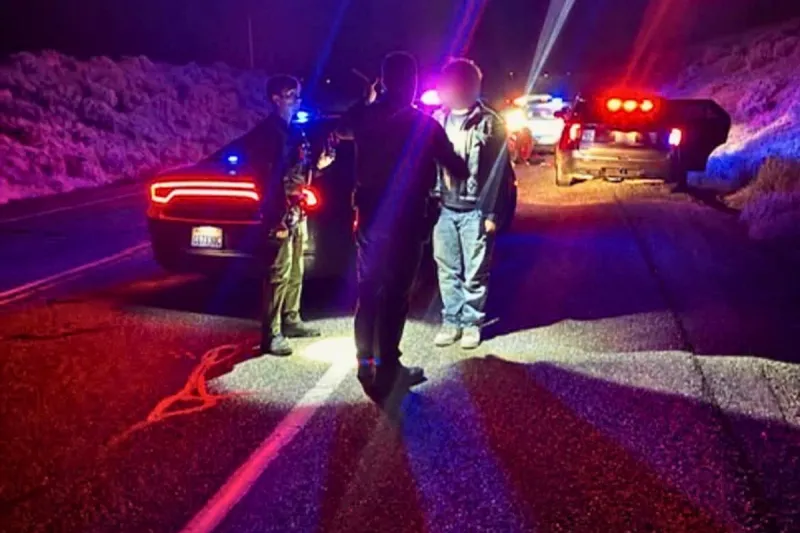 Driver Charged With Felony Eluding After Early Morning Chase