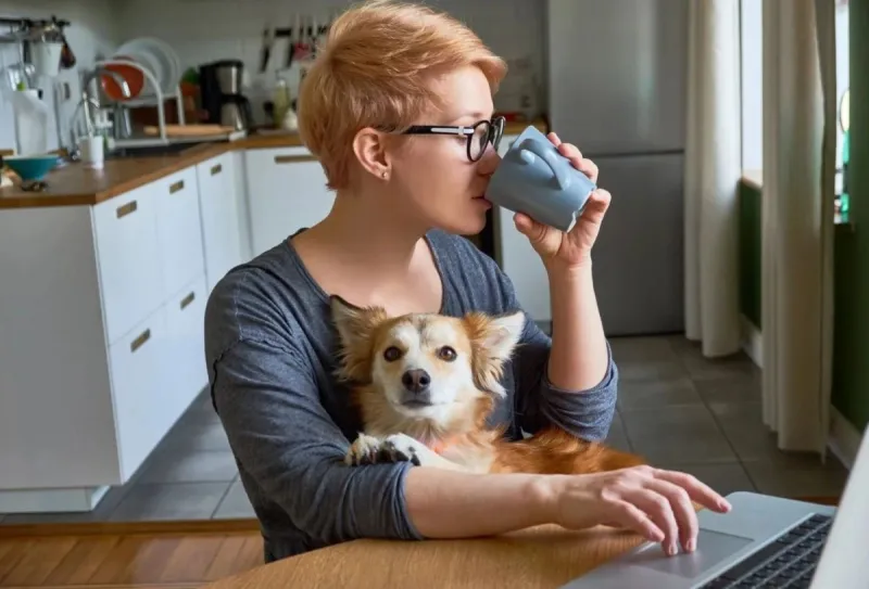 10 Prohibited Home Businesses In Yakima