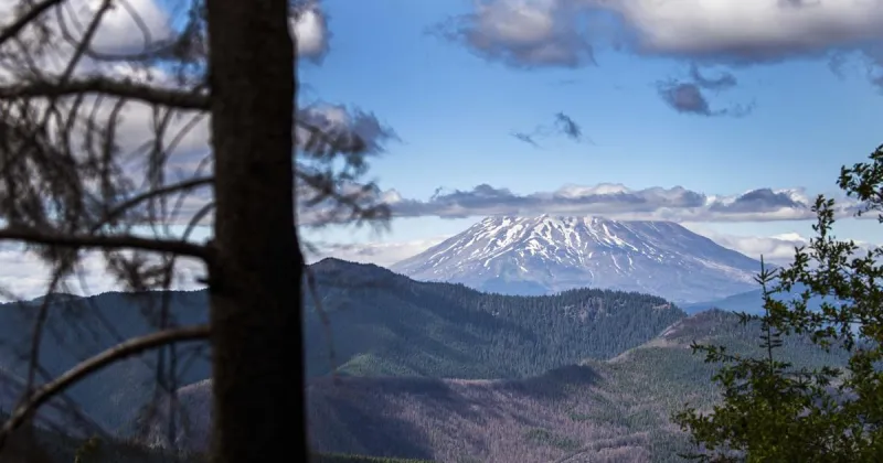 Vancouver police search for missing hiker who may be near Mount St. Helens