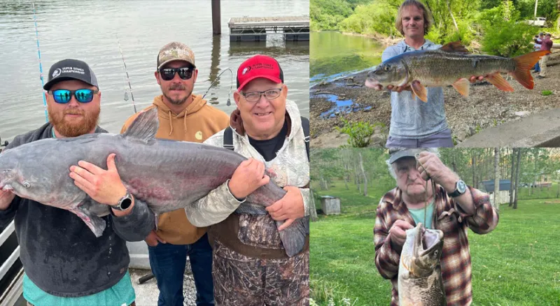 Anglers catch three new state record fish in a two-week span