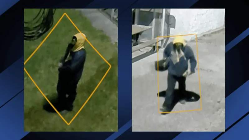 Police ask for help investigating breaking-and-entering at Charleston ballfields