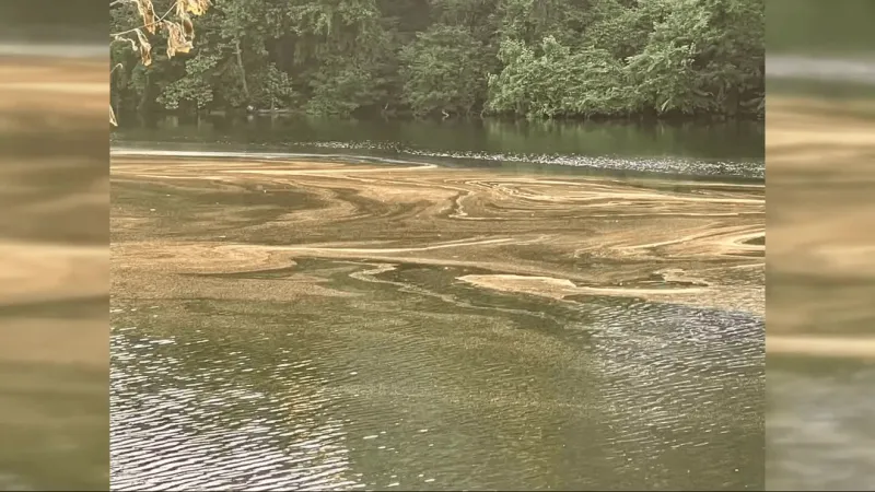 Homeowners demand action as coal dust from Quincy dock operation coats homes and property