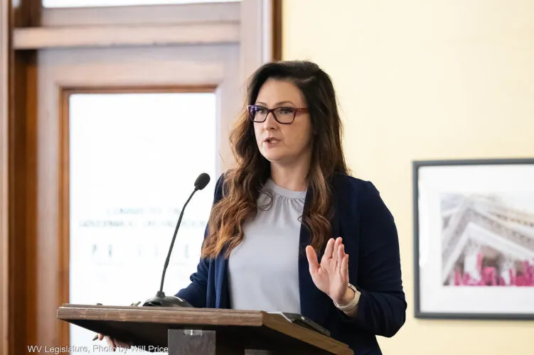 Lawmakers briefed on new SAFE child welfare case system