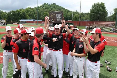 Bridgeport Baseball Advances to State Tournament With 7-2 Defeat of Elkins