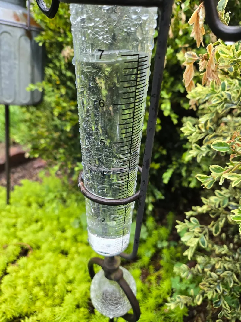 Making a dent in the drought