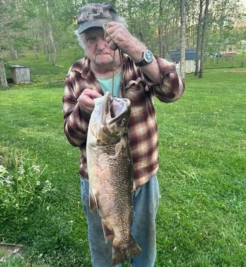 Record Tiger Trout Caught by Nicholas County Fisherman
