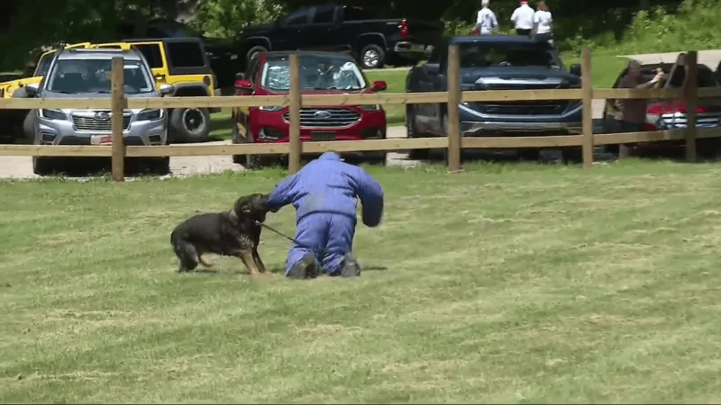 K-9 demonstration from Jackson County deputies takes center stage during Family Fun Day