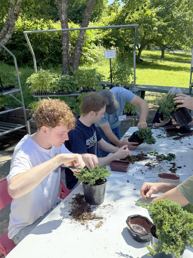 Ki No Kaze Bonsai Club hosts hands-on workshop at Scot's Marketplace