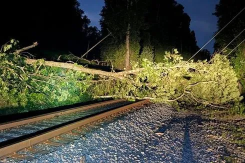 First Responders Address Tree Across Area Railroad Tracks, as Well as Damage to Pair of Utility Poles