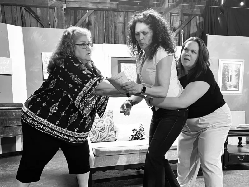 Brooke Hills Playhouse opens 55th season with laughter and friendship