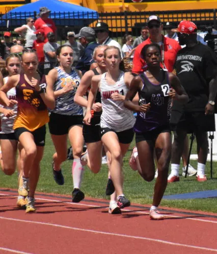 Buckeye Local's DelVecchio; Martins Ferry's Williams Win D-4 State Titles