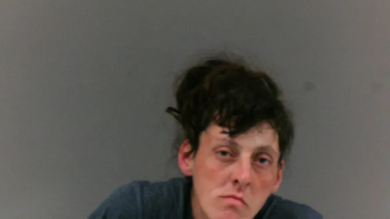 Logan County woman accused of breaking into residence, stealing nearly $1,500 of property
