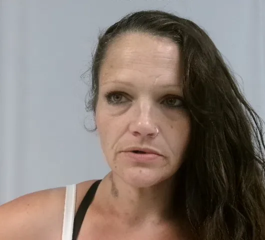 Woman allegedly brought drug into jail