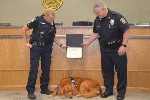 Retired Therapy Dog Connor Honored for Service to City with Proclamation; Celebrates with Attempted Nap