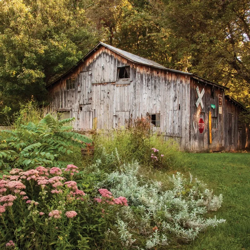 At Home in Hardy
