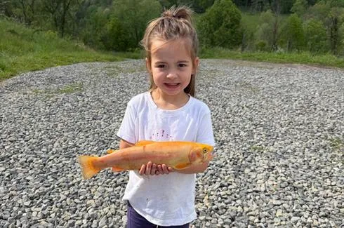 Winners of 2026 West Virginia Gold Rush Giveaway are Announced by State Division of Natural Resource