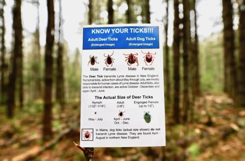 Health officials warn of bad tick and Lyme disease season