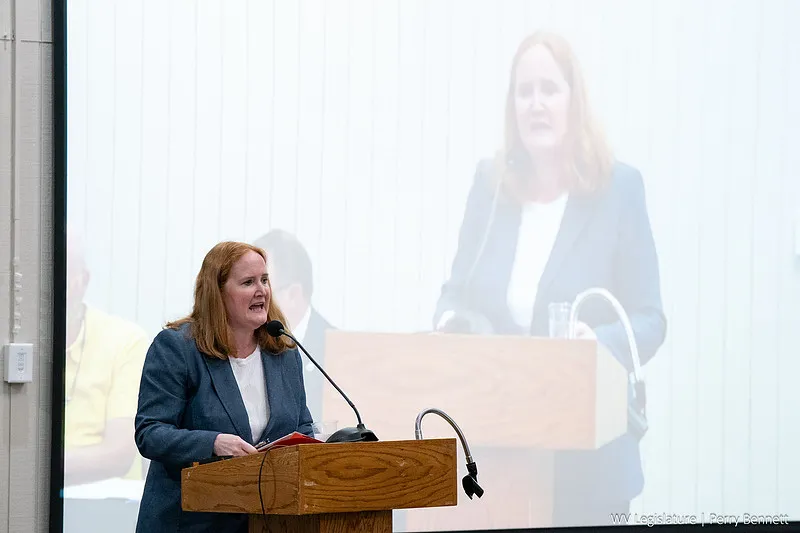 Economic development official tells lawmakers of 78 possible deals