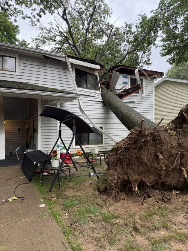 Tree collapses onto apartment in Williamstown Sunday