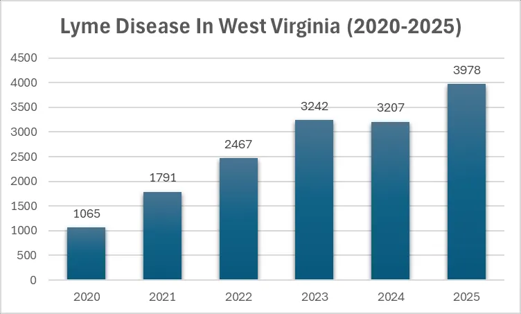 Spike in tick bites prompts preventive treatment offer in Kanawha, Fayette counties