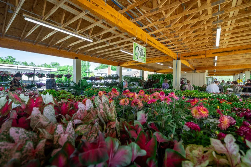 West Virginia Music Hall of Fame bringing 2026 Garden Party to South Charleston