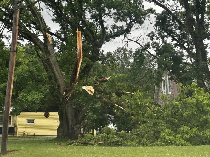 Wind uproots trees in Valley Bend