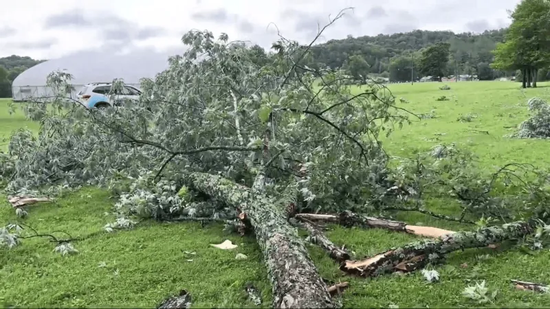 Severe thunderstorms bring damaging winds, power outages to West Virginia