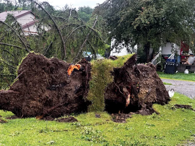 Severe Storm Damage