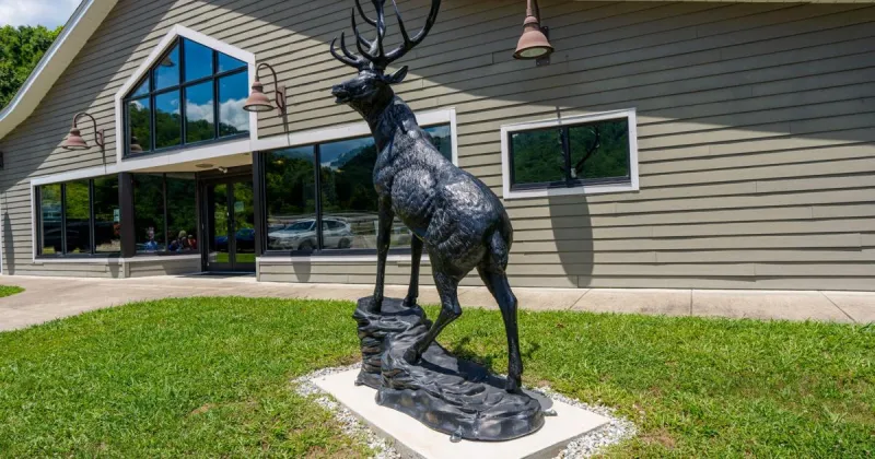 'Larry Bob Wilson' elk statue unveiled at Logan visitor center