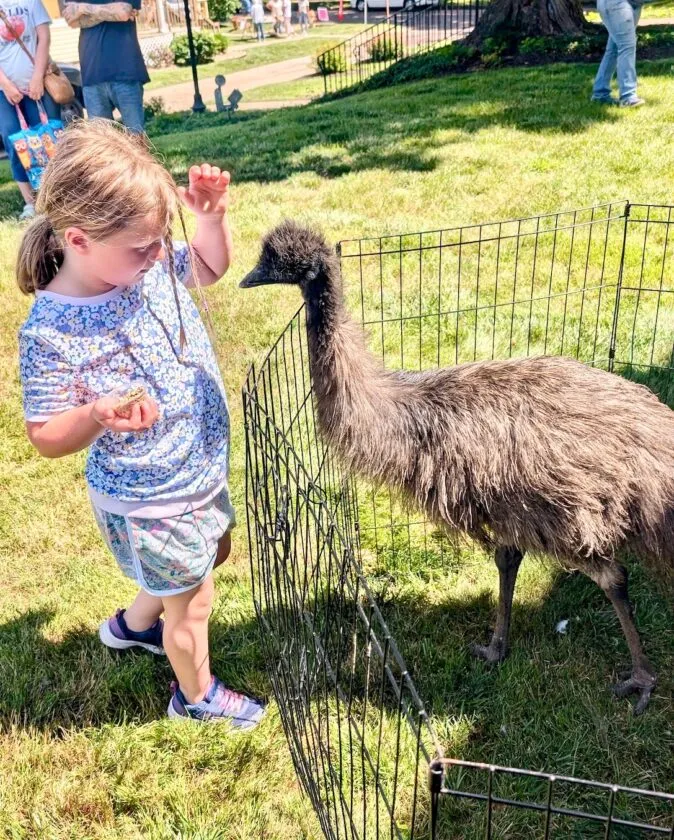 Picture This: Checking out the petting zoo at the Marietta library