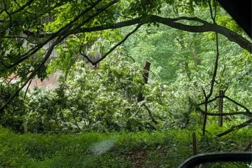 National Weather Service Confirms Tornado Close to City Monday, June 22 with Marion County Touch Down