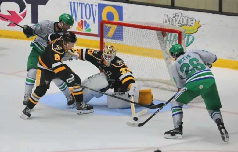 Wheeling Nailers in Jeopardy of Losing Longtime Affiliation with Pittsburgh Penguins