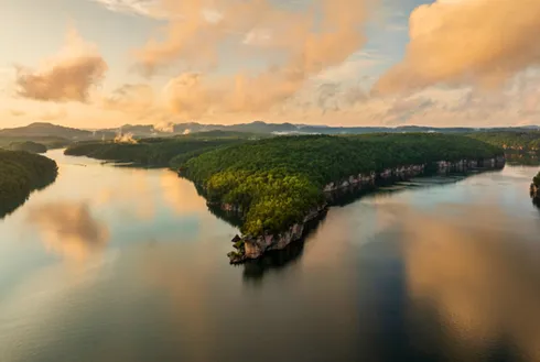 Scenic Spots for Wildlife Watching in West Virginia