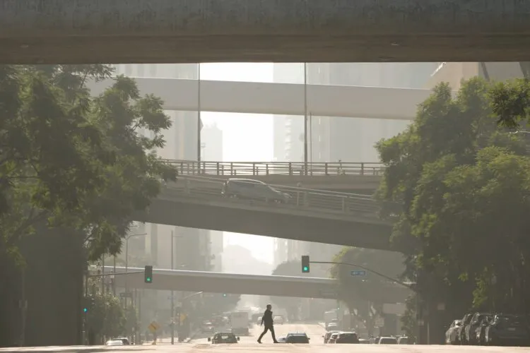 Appeals Court Rejects Trump EPA Bid To Abandon Rule Restricting Soot Pollution
