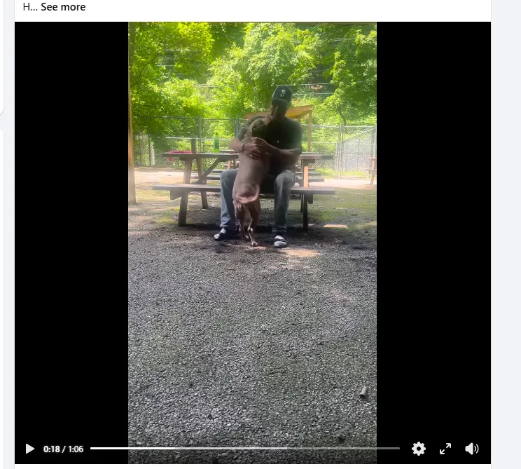Hennessey reunited with family after fatal I-64 crash
