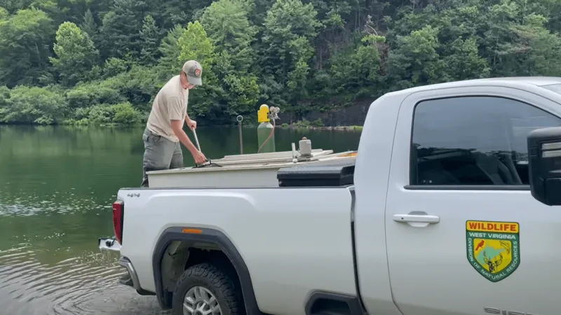 DNR concludes catfish stocking in dozens of West Virginia waterways