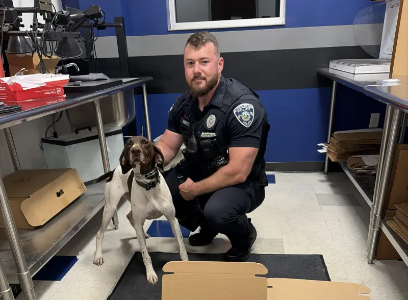 K9 Luna helps in Beckley drug arrest, man found with array of drugs and guns