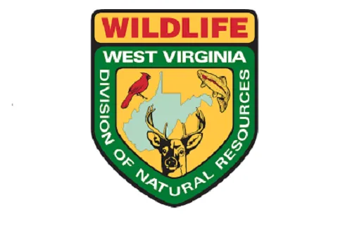 West Virginia Division of Natural Resources Lists New Dates for Dove, Woodcock, and Rail Hunting Seasons