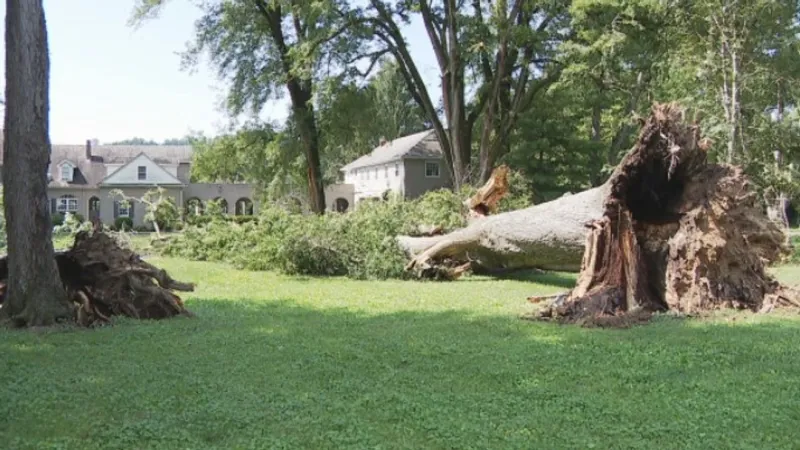 Cleanup underway after severe weather leaves damage across western Scioto County