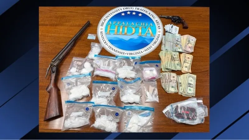 Search of Mingo County home reveals drugs, guns and cash, deputies say