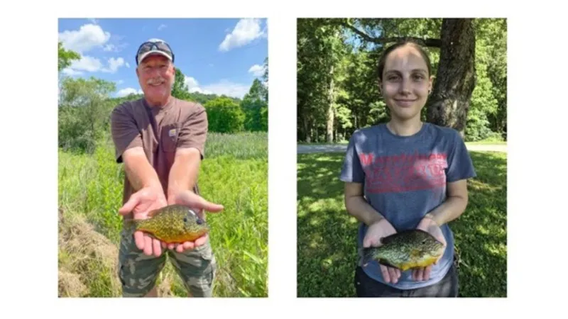 DNR: West Virginia record for pumpkinseed sunfish set and broken this summer