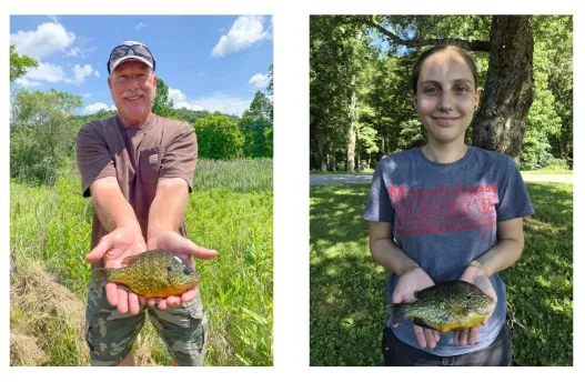 Record pumpkinseed sunfish caught in June, larger fish caught 19 days later