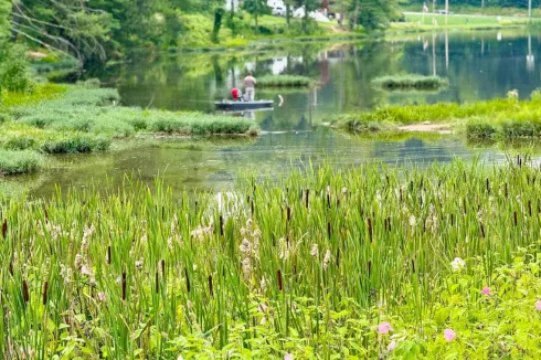 PHOTOS: Nature Captured at Hinkle and Deegan Lakes