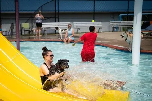 Take Your Doggie for Cool Water Dip with K-9 Pals as United Way Hosting Drool at the Pool at Splash Zone