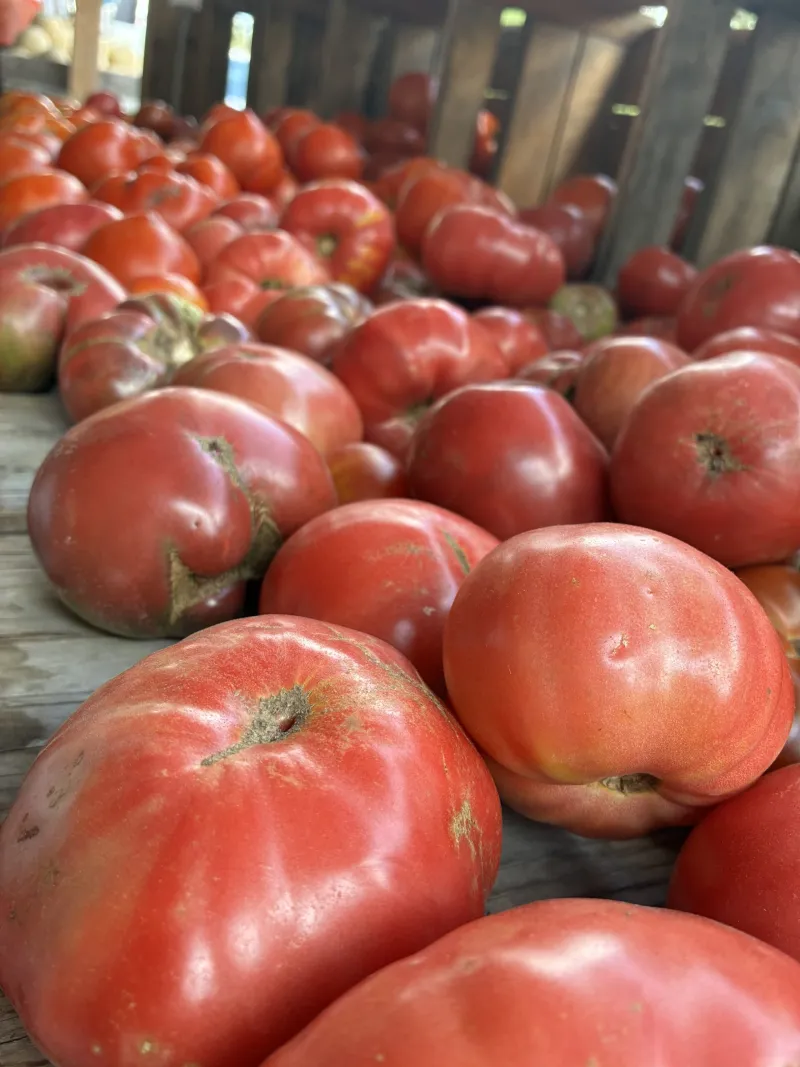 Too many tomatoes? Make 'em an offer they can't refuse