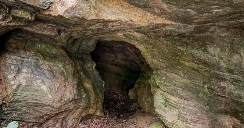 Appalachian Bluebird: The secret world beneath Appalachia