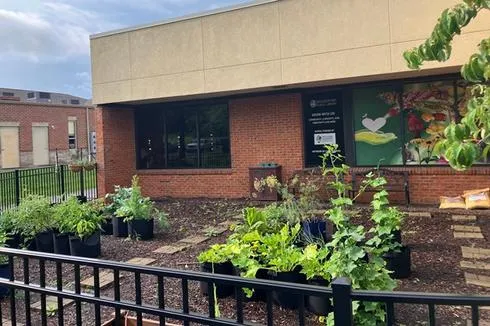 Off the Shelf: Garden & Seed Library Updates